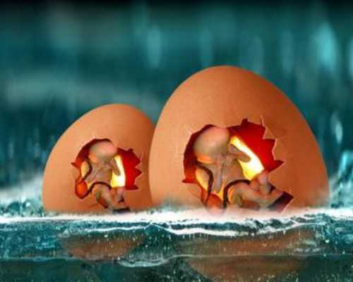 供卵中介天子优生套餐,苏州仁济-供卵过程,苏州供卵
