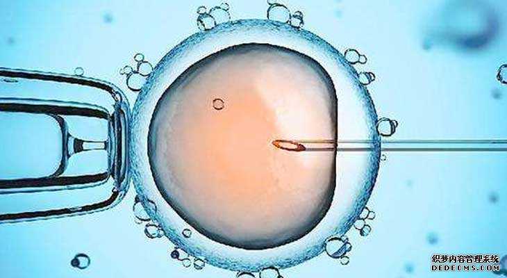西陵区学生捐卵微信群_西陵区捐卵恶搞_试管婴儿，胚胎级别取决于女性卵子的
