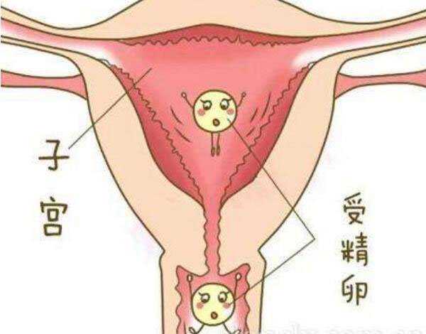 爱心捐卵电话_泰国试管婴儿可以科学避免生化妊娠吗