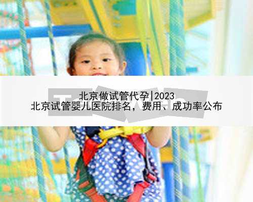 北京做试管代孕|2023
北京试管婴儿医